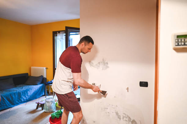 Best Toxic Mold Removal  in Dale City, VA